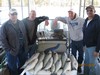 (04/27/2018) - Nice Striped Bass
